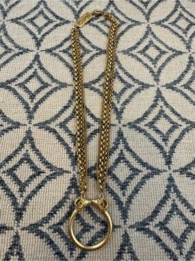 Elizabeth Cole Gold Multi-chain ram necklace
